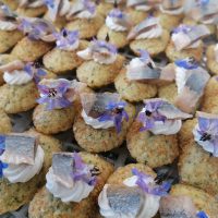 madeleines pièces cocktail