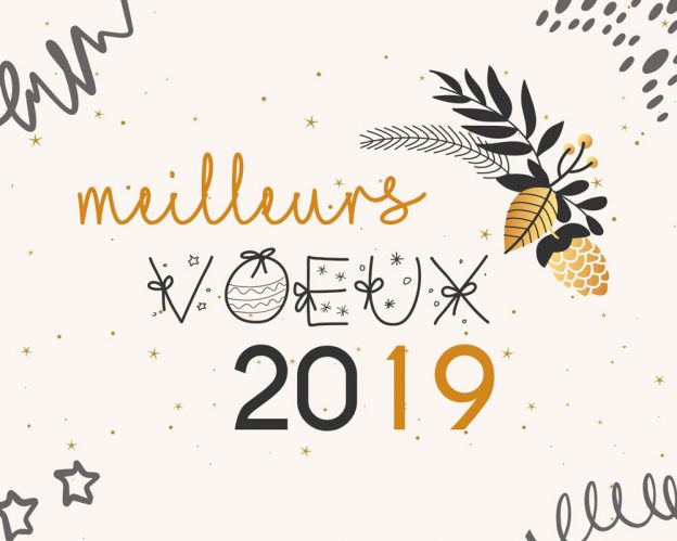 meilleurs-voeux